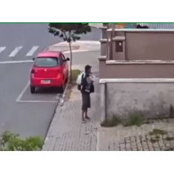 Câmeras flagram suspeitos jogando pedaços de carne para cães no Ouro Verde